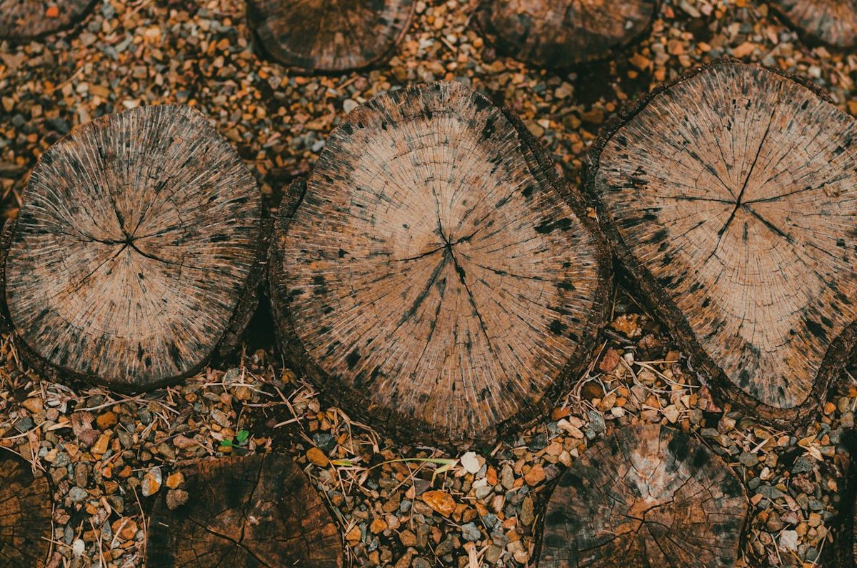 Wood flooring texture